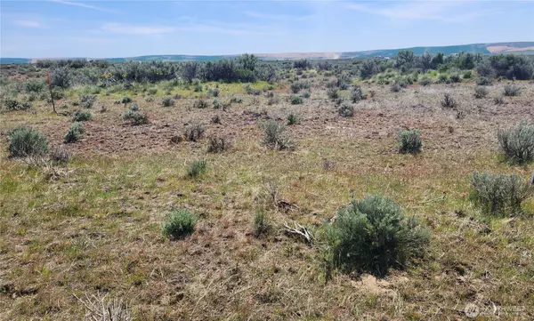 Ephrata, WA 98823,0 Lot 9 Pheasant DR