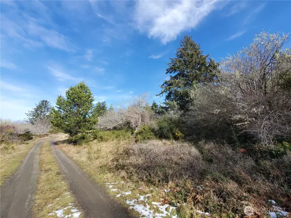 Oysterville, WA 98641,0 N. Oysterville Rd @ Cmtry Rd