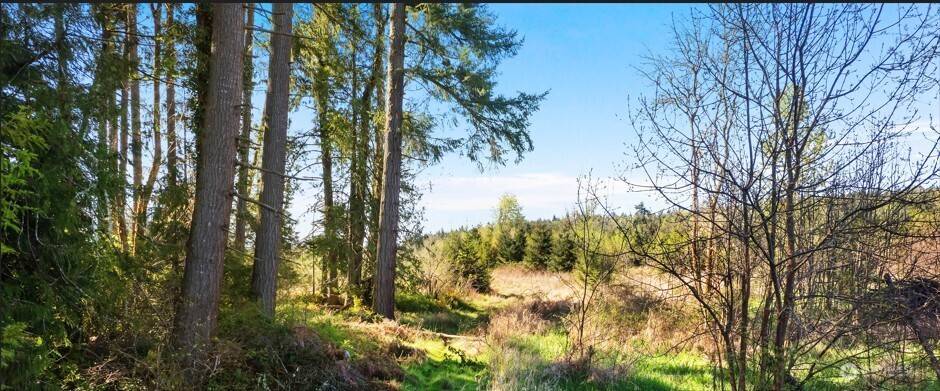 Tenino, WA 98589,0 40 acres 185th AVE SE