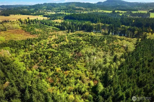 Tenino, WA 98589,0 40 acres 185th AVE SE