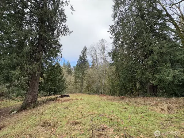 376 Beach DR, Quilcene, WA 98376
