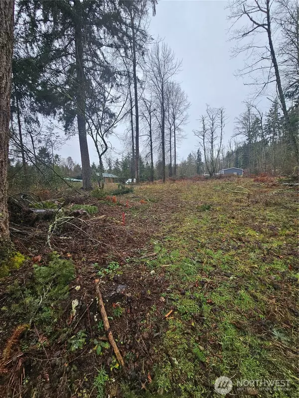 Graham, WA 98338,25905 96th AVE E