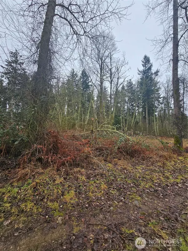 Graham, WA 98338,25905 96th AVE E