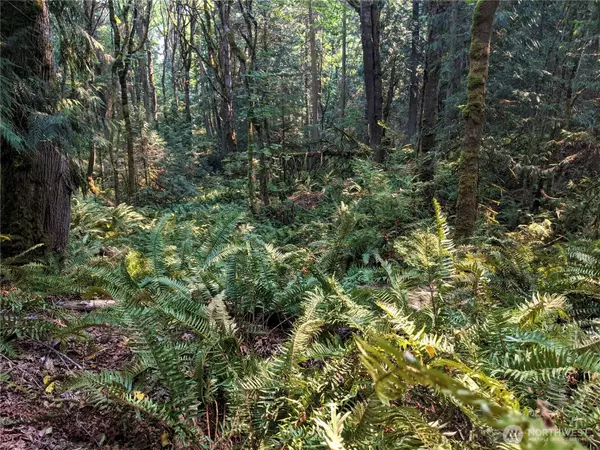 Port Hadlock, WA 98339,2998 Oak Bay RD