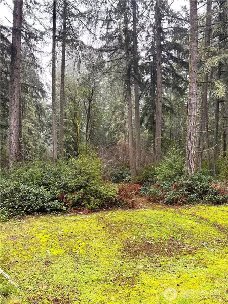 10509 Vantage DR, Anderson Island, WA 98303