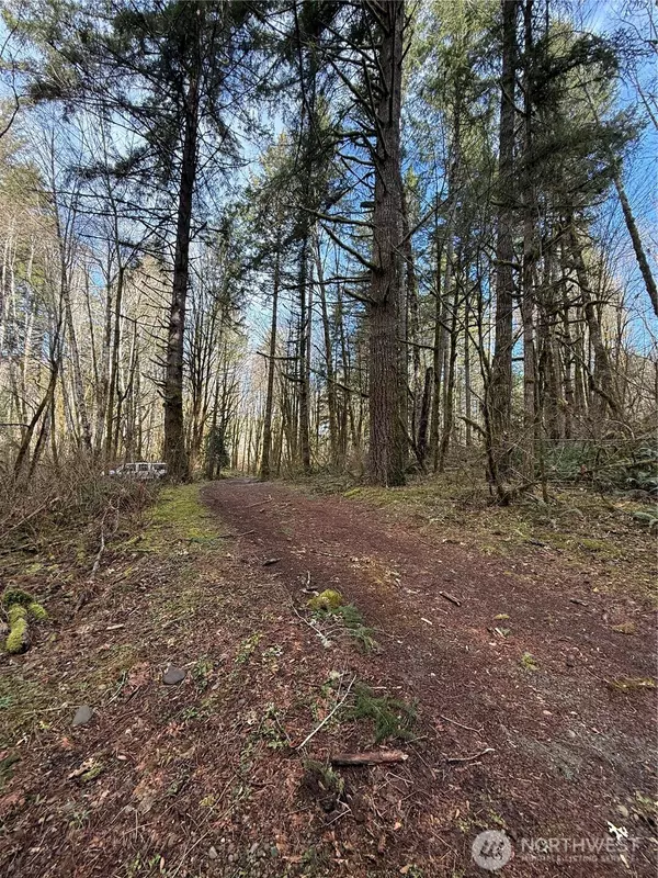 0 XXXX NE Beitzel DR, Belfair, WA 98528