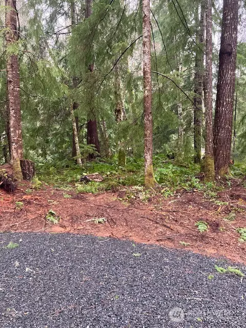 Hoodsport, WA 98548,61 N Duckabush DR N
