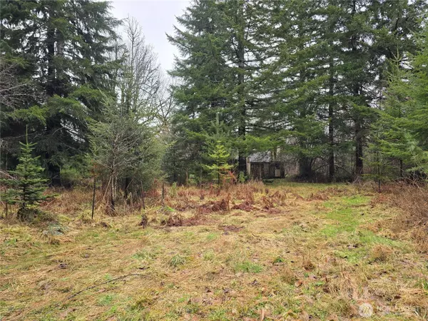 Elma, WA 98541,261 W Elk Hill RD