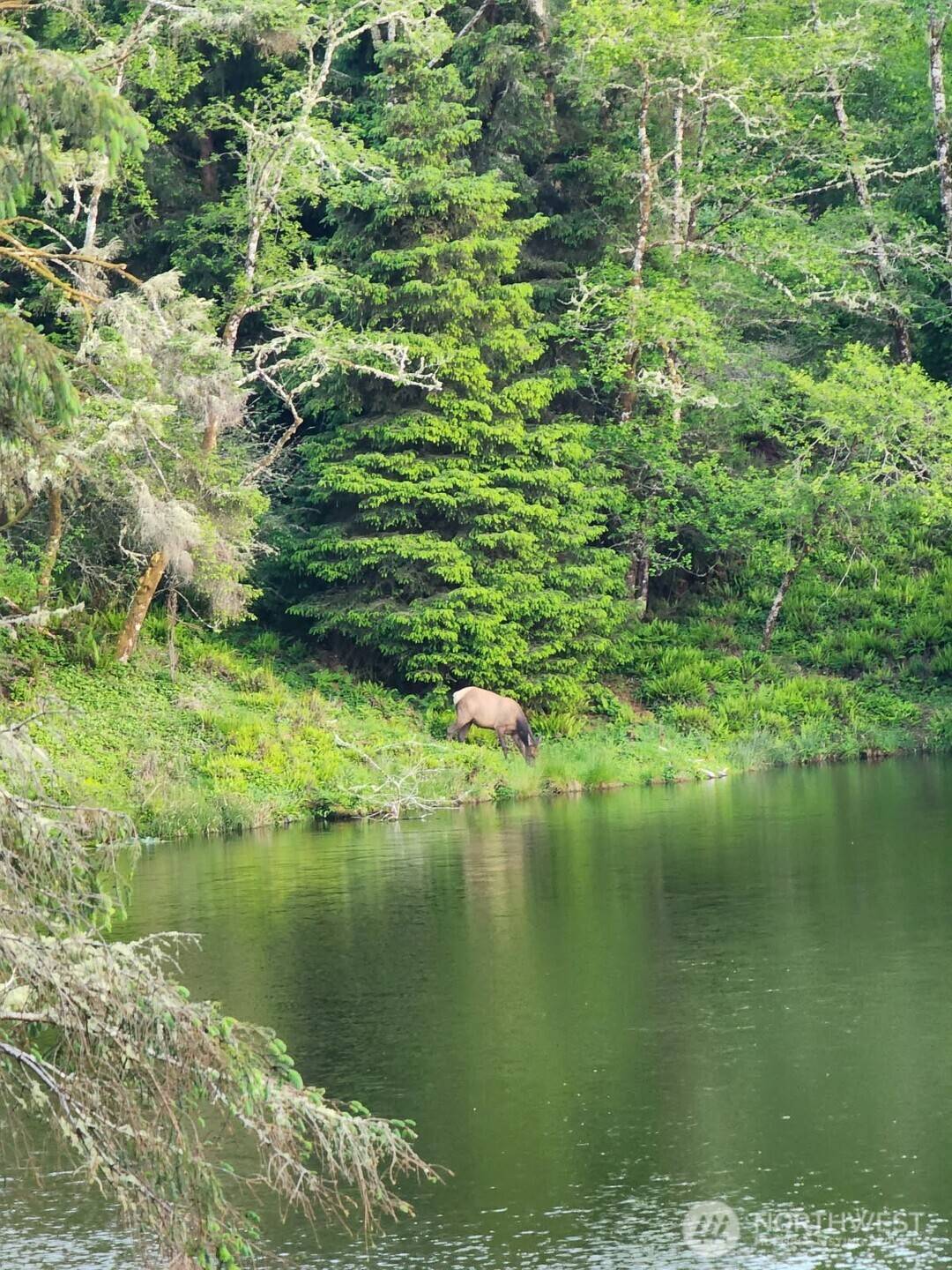 South Bend, WA 98586,4 Lakeview LN