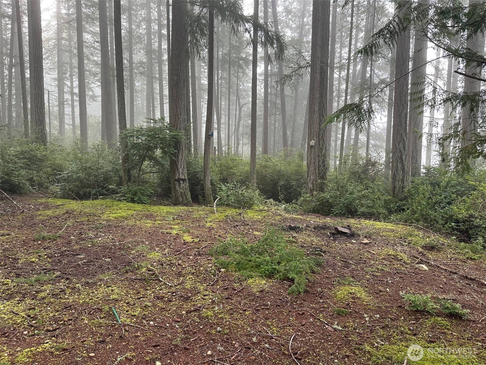 Anderson Island, WA 98303,12108 Wapato RD