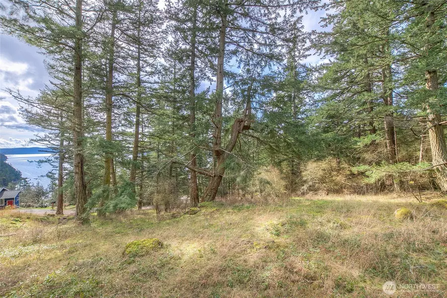 10 Cascade Lot 10 WAY, Orcas Island, WA 98245