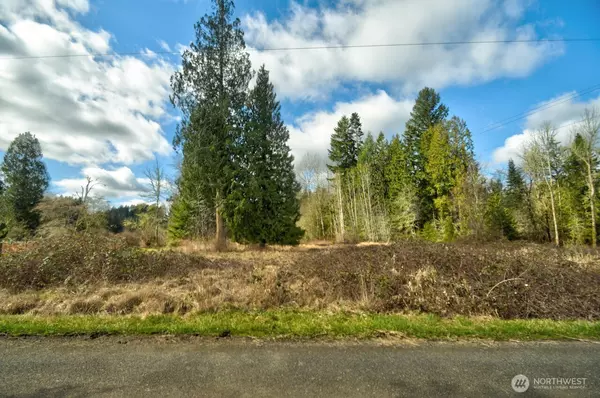 Tenino, WA 98589,20217 Whitefish LN SE