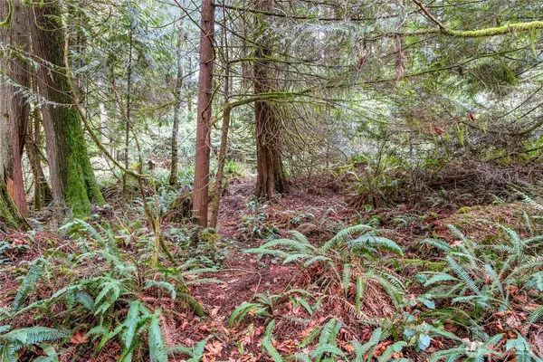 Gig Harbor, WA 98332,2902 136th ST NW