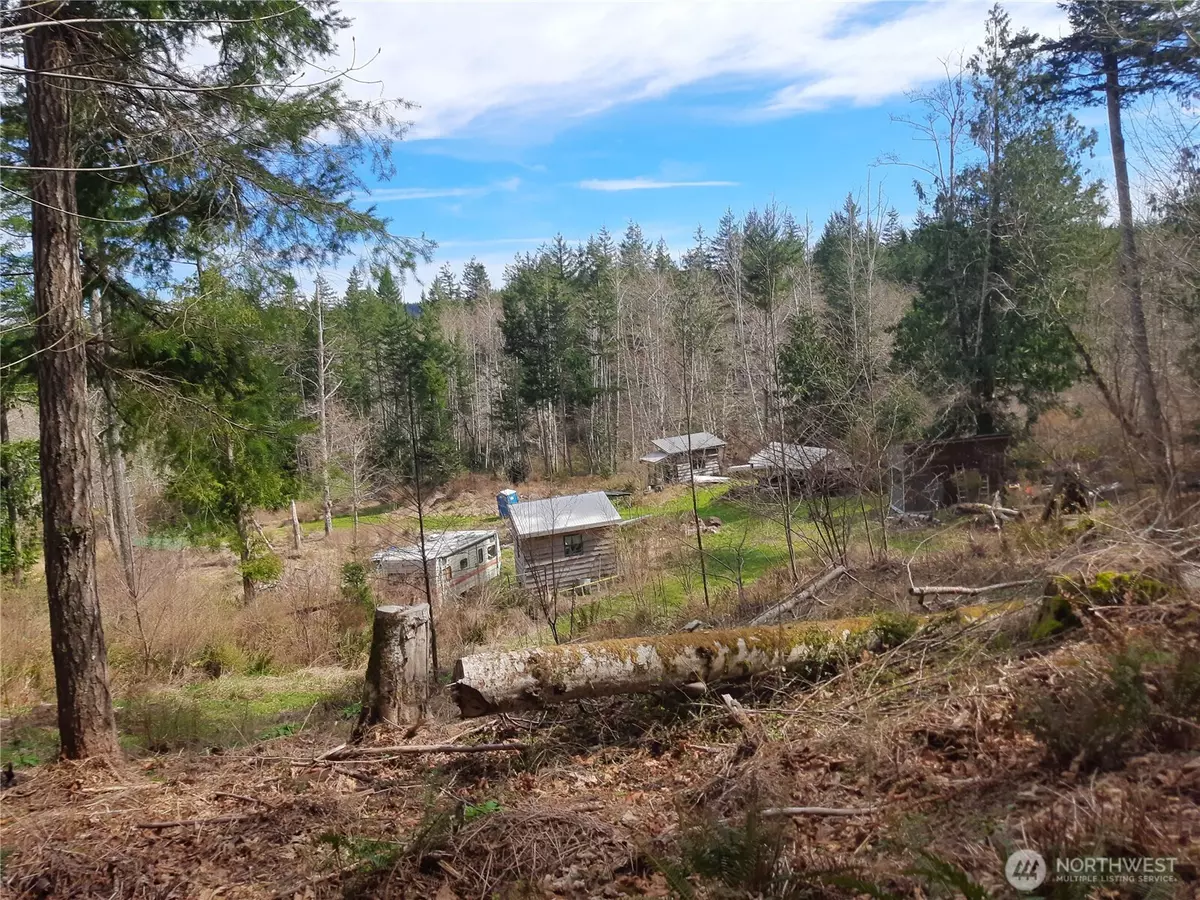 Quilcene, WA 98382,999 Carl Johnson RD