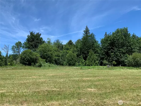 Toutle, WA 98649,721 Lapham RD