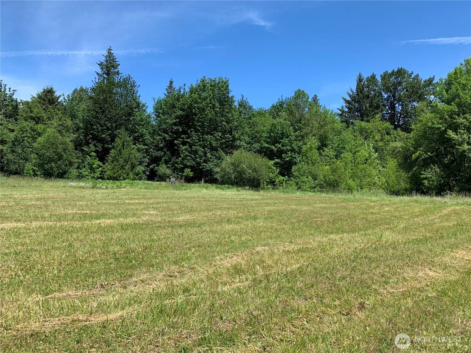 Toutle, WA 98649,171 Mask LN