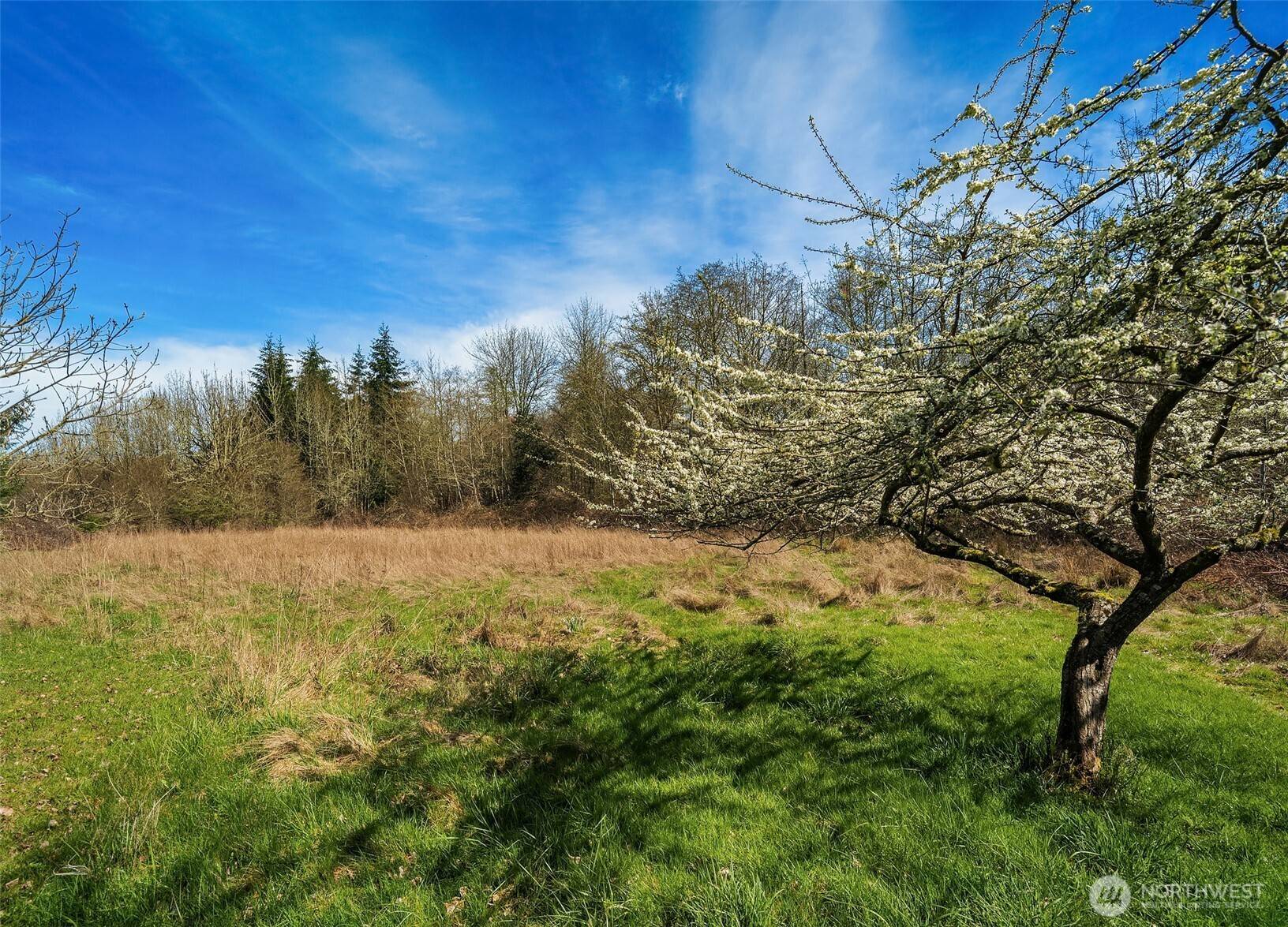 23420 77th AVE SW, Vashon, WA 98070
