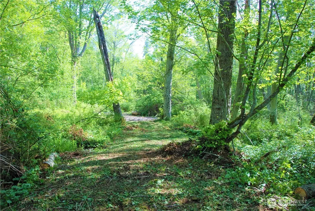 Blaine, WA 98230,11 Koehn RD