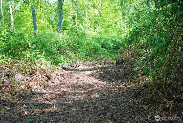 Blaine, WA 98230,11 Koehn RD