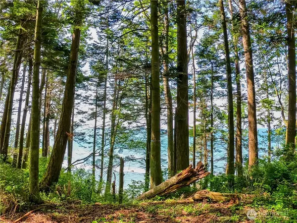 Blaine, WA 98230,12 Koehn RD