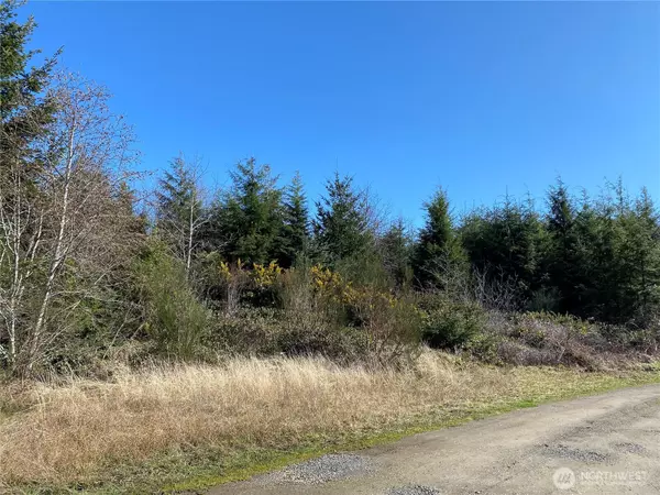 23800 Elm (across from 23804), Ocean Park, WA 98640