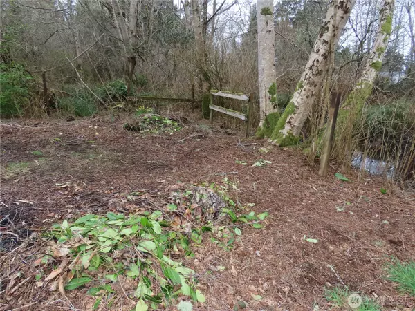 0 W Park AVE, Westport, WA 98595