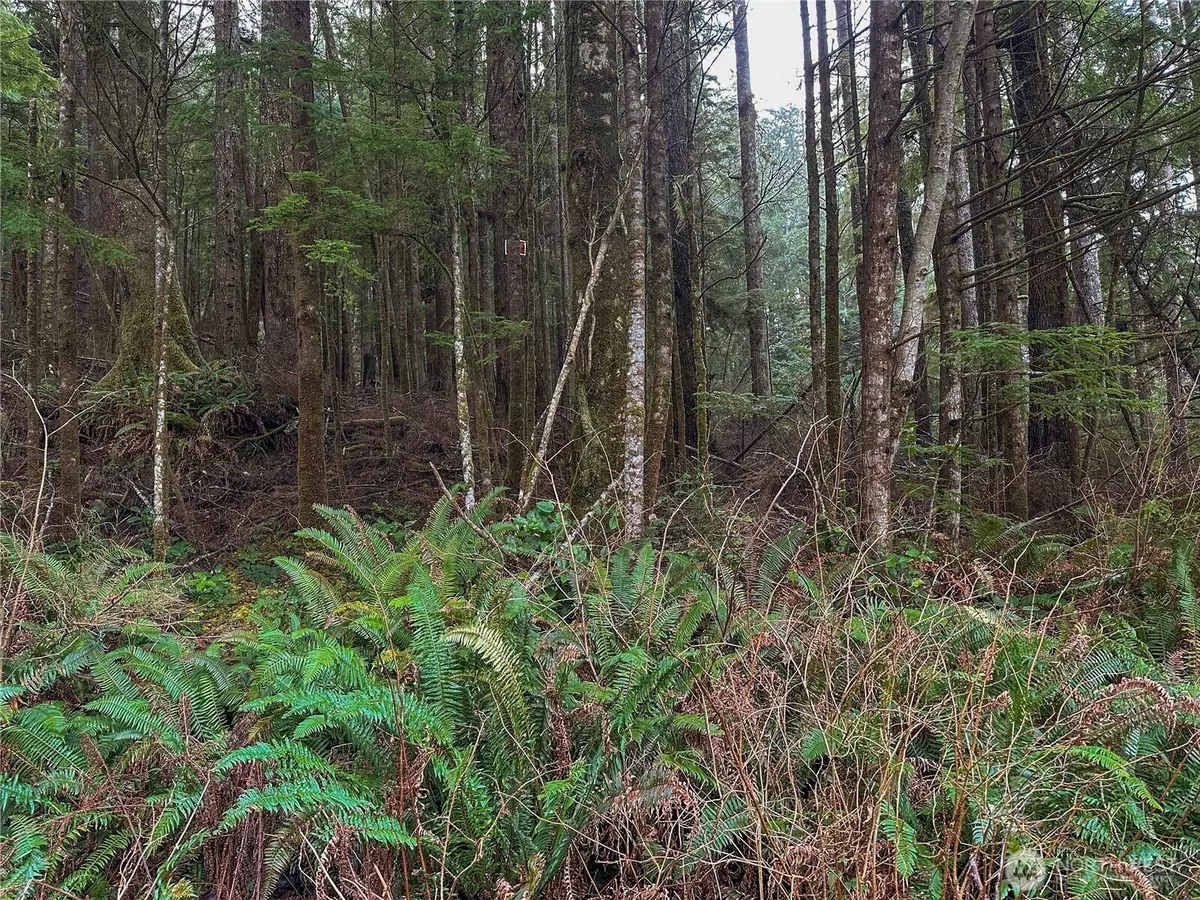 Copalis Beach, WA 98535,0 TR 15 Salal DR