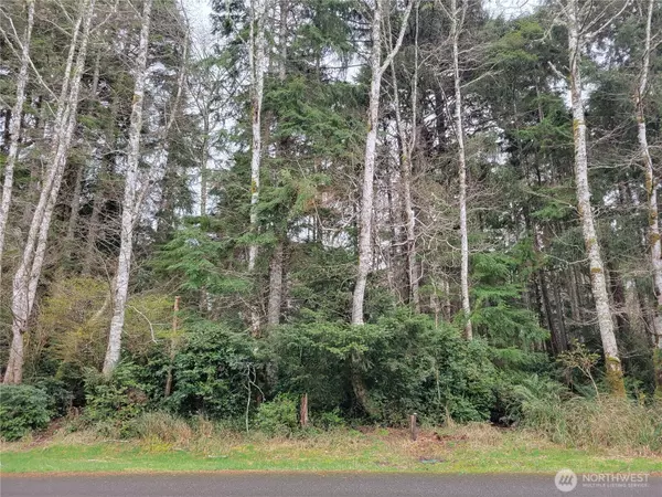 Ocean Shores, WA 98569,337 Hyde CT NE