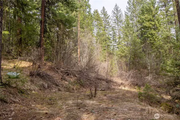 Leavenworth, WA 98826,1 Chumstick HWY
