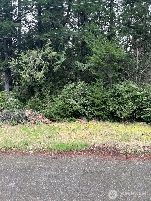 Anderson Island, WA 98303,8615 Eckenstam Johnson RD