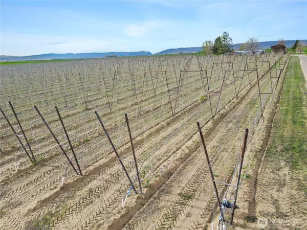 Mattawa, WA 99349,16002 Rd 28 SW