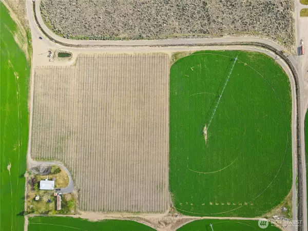 Mattawa, WA 99349,16002 Rd 28 SW