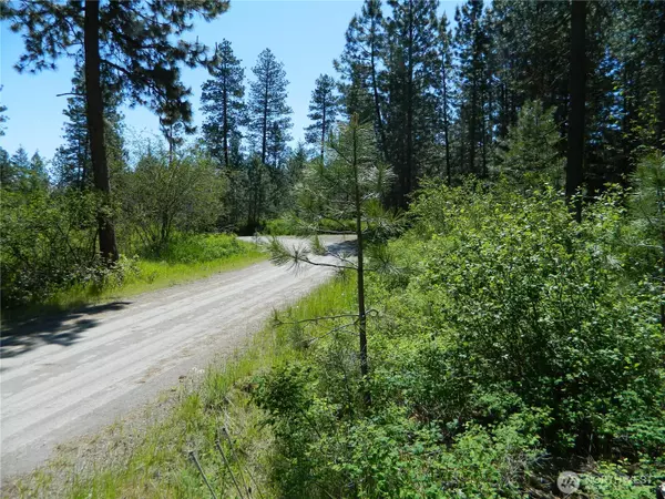Tonasket, WA 98855,111 TBD Murphy Ranch RD