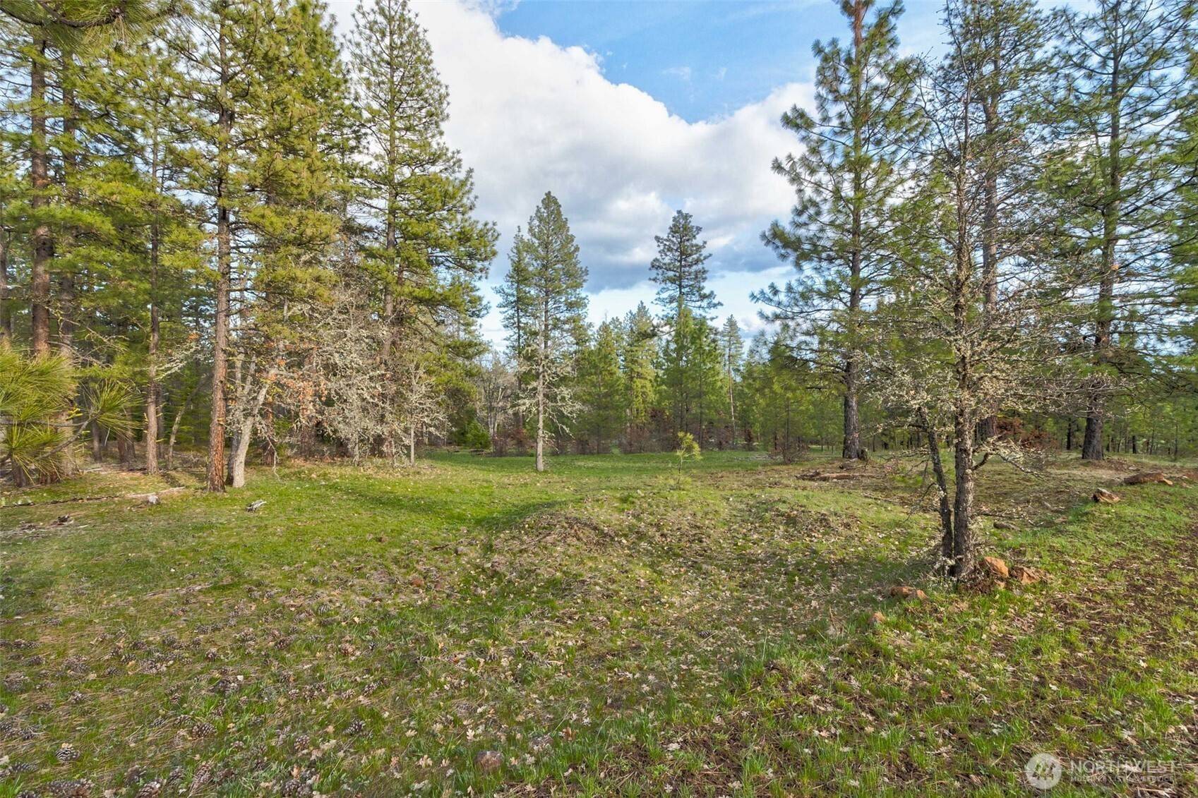 Goldendale, WA 98620,20 Greyback Mt RD