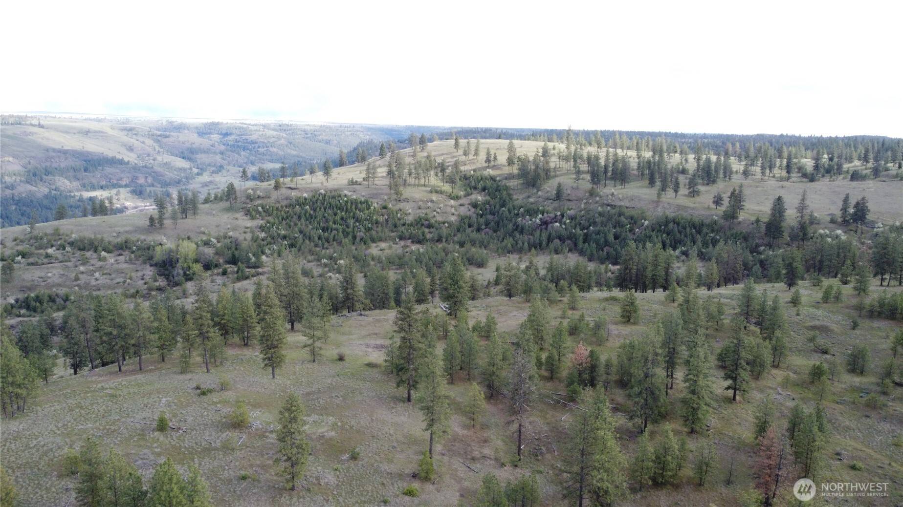Davenport, WA 99122,0 XXX Miles Creston RD N