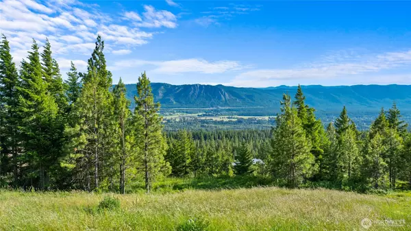 Cle Elum, WA 98922,31 Forest Ridge DR