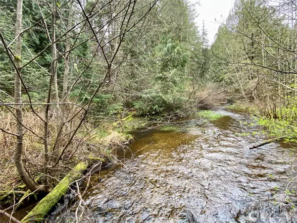 Shelton, WA 98584,1091 E Saint Andrews DR