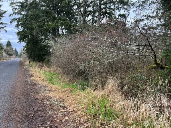 Long Beach, WA 98631,0 X 102nd PL