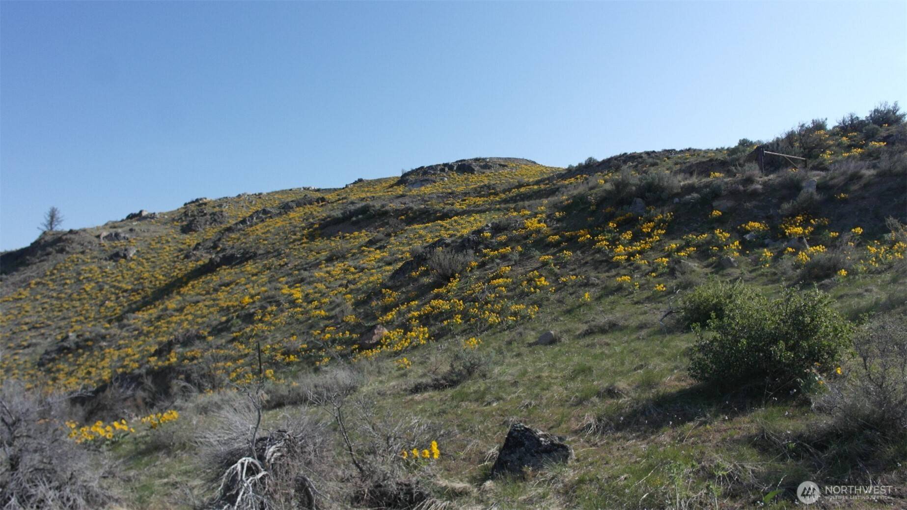 Methow, WA 98834,44 Sky Ridge RD
