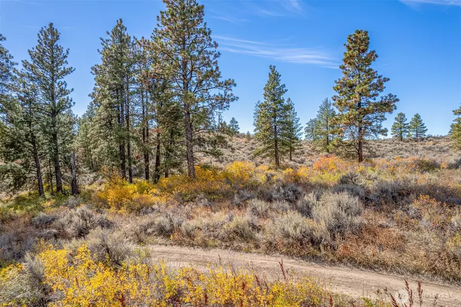 403 Wild Turkey, East Wenatchee, WA 98802