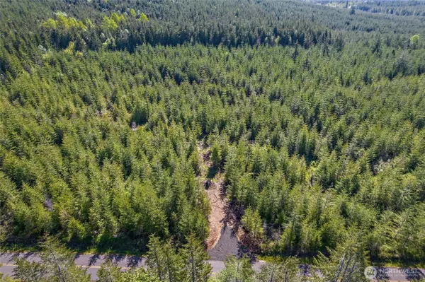Shelton, WA 98584,0 W Lost Lake Lot 2 RD