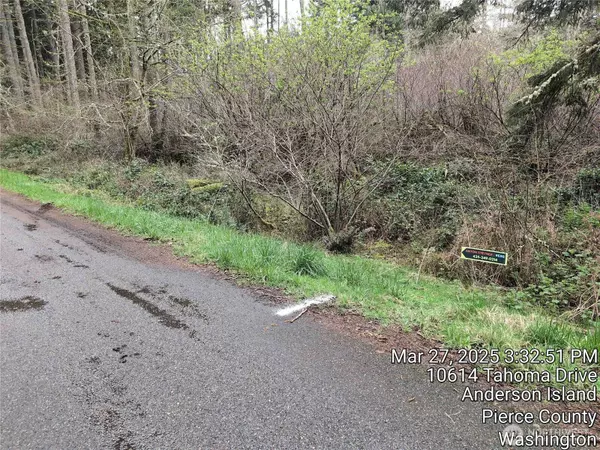 Anderson Island, WA 98303,10618 Tahoma DR
