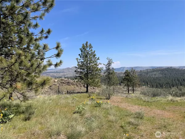 Davenport, WA 99122,2 Hart Rd N