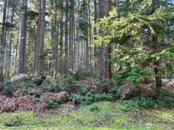 Anderson Island, WA 98303,12910 98th ST