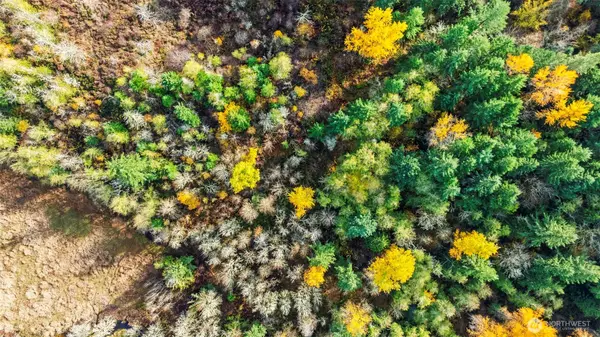 Eatonville, WA 98328,37316 & 37404 68th AVE E