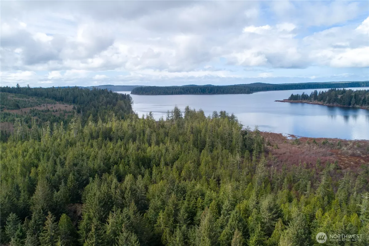 Sekiu, WA 98381,0 Swamp RD