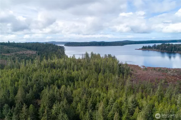 0 Swamp RD, Sekiu, WA 98381