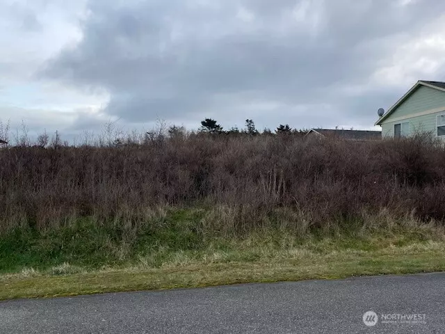 0 El Cine ST, Coupeville, WA 98239