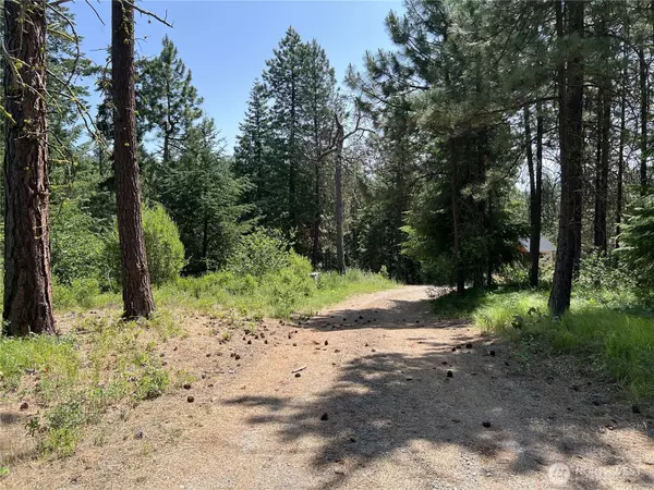 Cle Elum, WA 98922,1571 Summit View RD