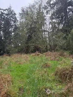 Langley, WA 98260,881 Cork LN